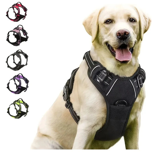 Hot Sale🎁Dog Collars & Leash Set – Durable Pet Collar with Leash for Training and Walking