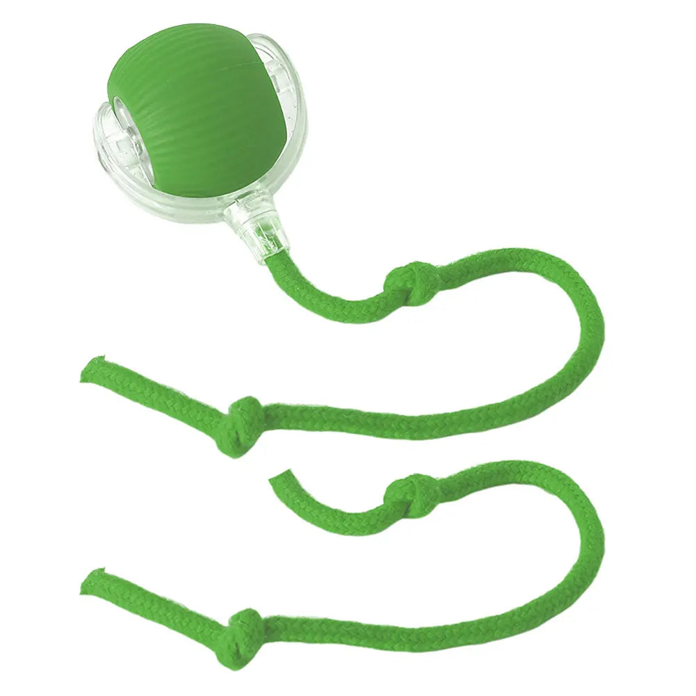 Interactive Cat Toy Ball – Automatic Rolling with Faux Tail, USB Rechargeable