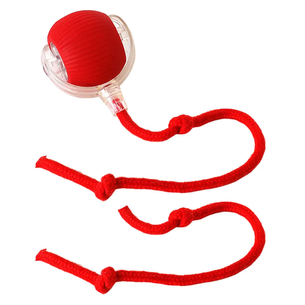 Interactive Cat Toy Ball – Automatic Rolling with Faux Tail, USB Rechargeable